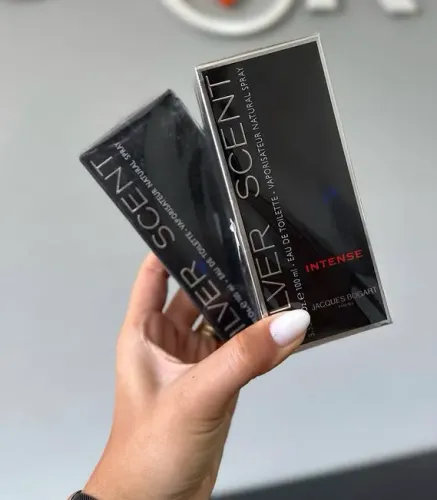 Perfume masculino Silver Scent 100ml
