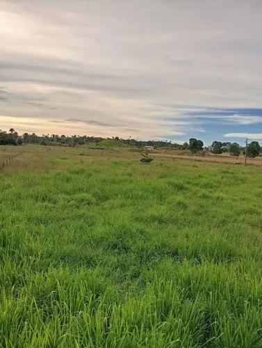Fazenda à 5 km do rio Araguaia