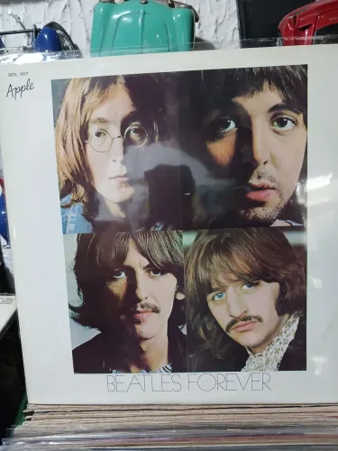 Lote com 10 discos de vinil The Beatles