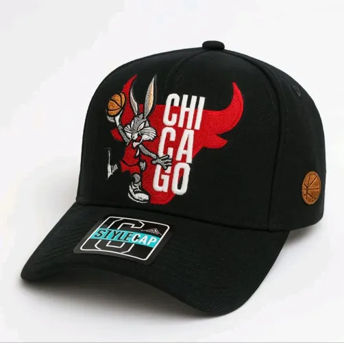 Boné Aba curva Looney Tunes Bulls Lakes com regulagem
