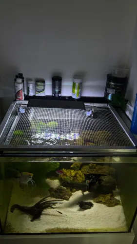 Aquário marinho completo 