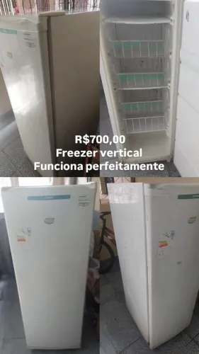 Freezer vertical