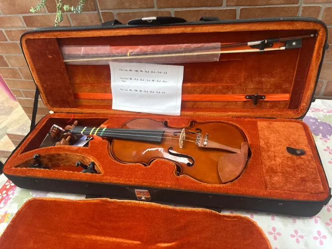 Violino novo Eagles