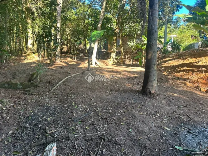 Terreno à Venda em Paulo Lopes/SC - Ribeirão Grande