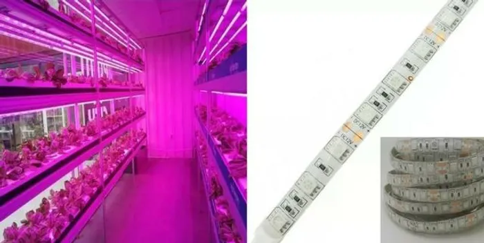 Led Full Spectrum Indoor Grow 4red 1blue Cultivo Aquario 1 Metro Fita Arduino COD-CP324 