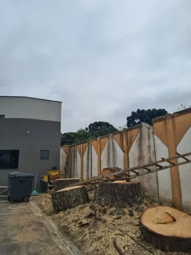 Corte e poda de árvores 