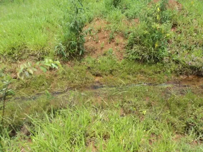 Pará de Minas - Financio