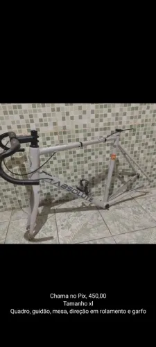 Quadro absolute wild r 58 