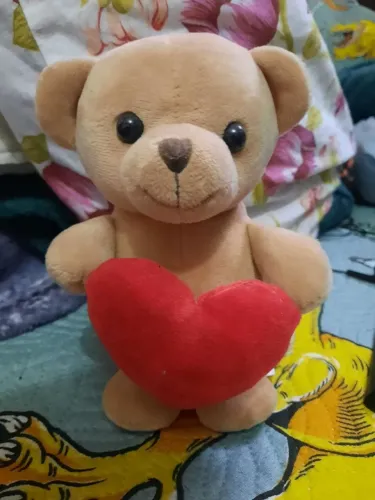 Urso de Pelúcia com Coração Vermelho 15cm