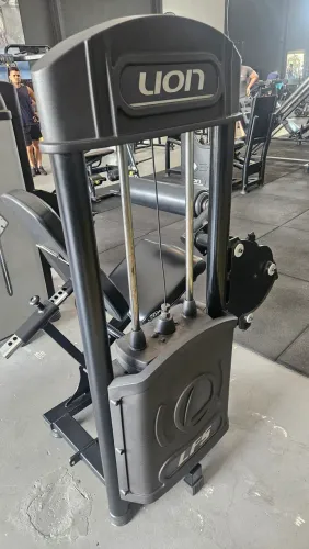 Cadeira Flexora Lion