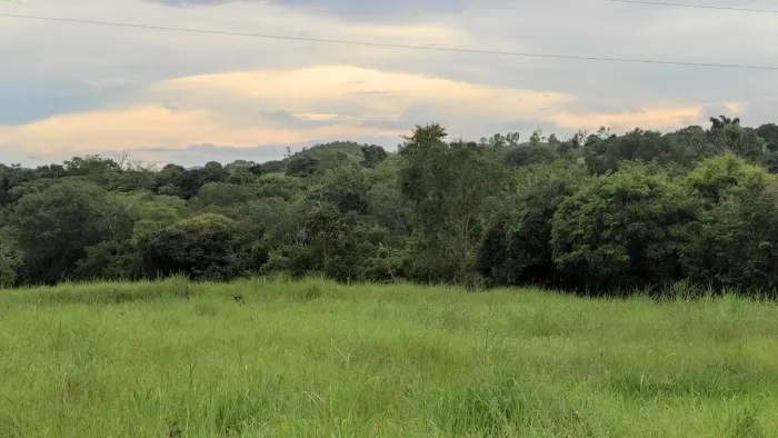 Sitio de 8 alq em Itapuranga-GO