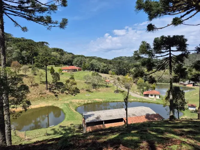 Alugo sítio em Bocaiúva do Sul. Ideal para hotel fazenda, pesk pag, criação de peixes.