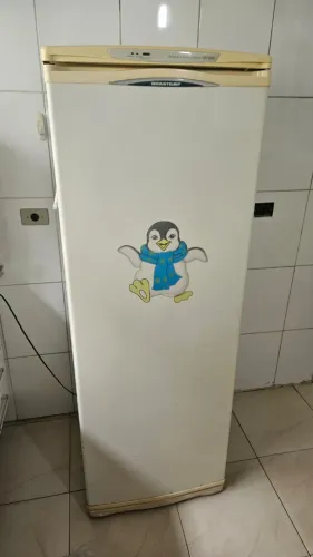 Freezer Brastemp Frost Free 270