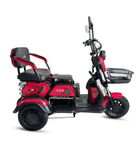 Triciclo Elétrico Bitu