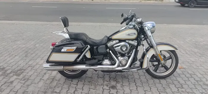 Desapegando desta linda Harley 