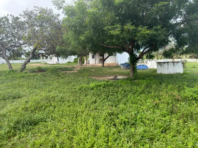 Oportunidade;Granja em Macaíba bem arejada e tranquila e ventilada 