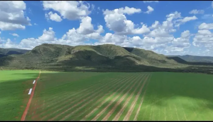 Fazenda a venda em Formosa - Goiás!!!