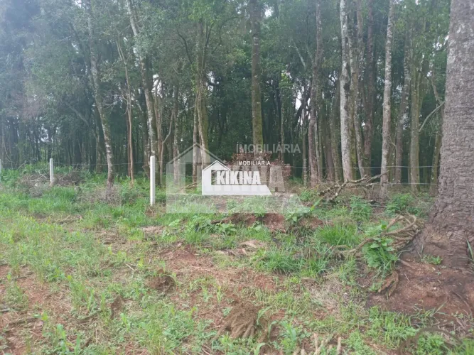 Área à venda por R$ 60000.00, 1200.00 m2 - LOTEAMENTO LINHO I - IMBITUVA/PR