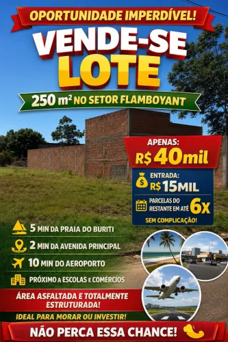 Vendo Ágio no setor flamboyant 1