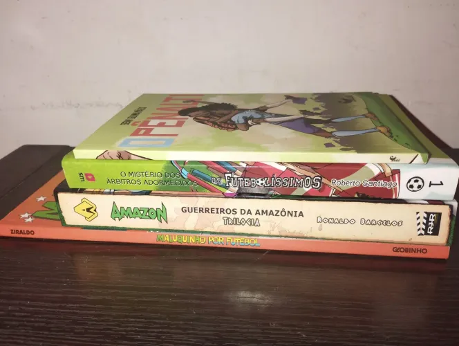 Lote 4 livros infantojuvenis