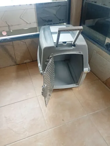 Caixa p transportar pet c/segurança $ 730,00