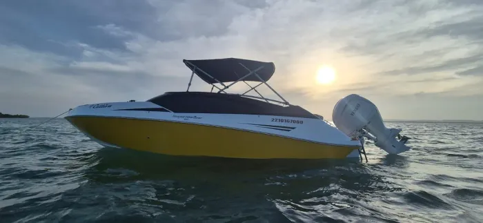 Lancha Royal Mariner 240