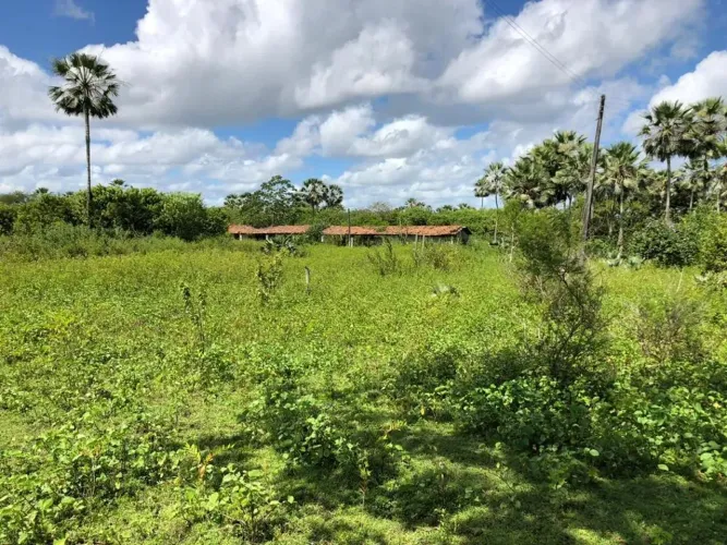 Terreno com 22 hectares no Camará