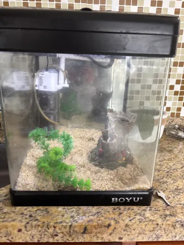 Aquario boyu