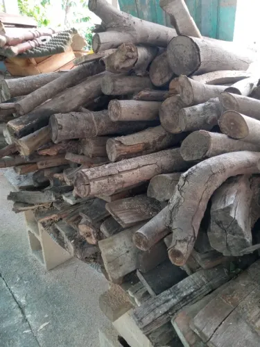 DOAÇÃO DE LENHA SECA 6M3