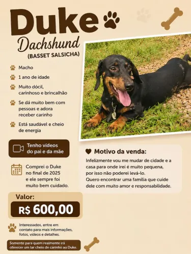 Vendo cachorro