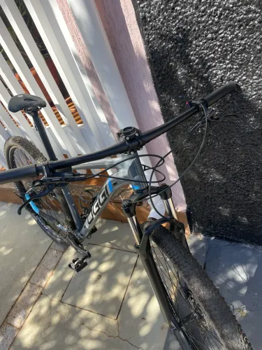 Bicicleta oggi