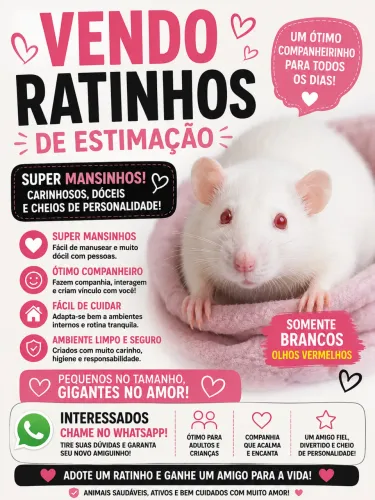 Ratinho de estimação 