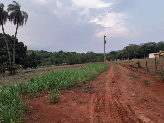 Chácara de 20.000m², terra de plantio com córrego nos fundos.