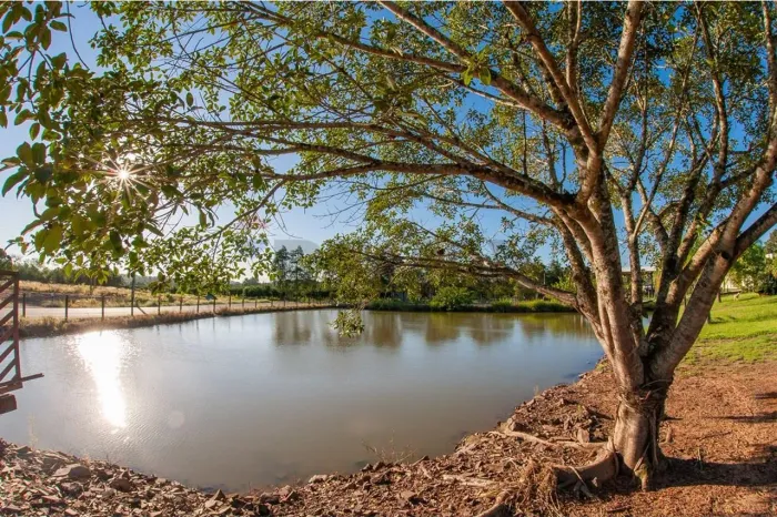 Viva o Sossego Sem Abrir Mão da Praticidade | Área com 4 Hectares em Pareci Novo!