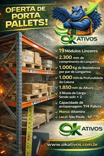 Porta Pallets Usados 