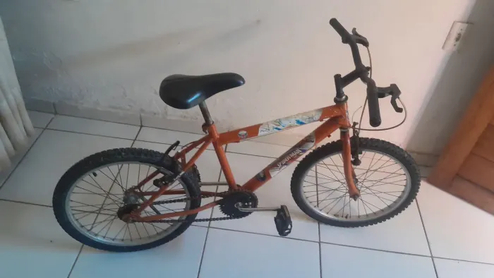 Bicicleta 