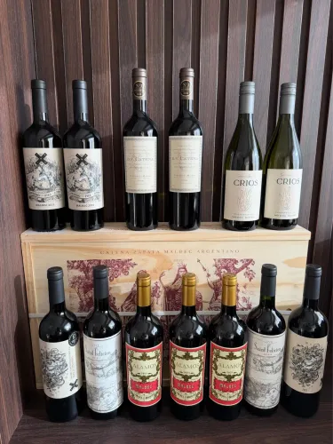 SELEÇÃO VINHOS ARGENTINOS