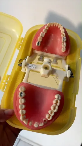 Vendo manequim dentistica pronew , valor a negociar