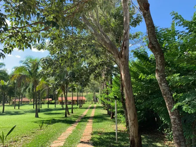 Vendo área de 16000m2 na divisa de Aparecida de Goiânia com Hidrolandia próximo a BR 153