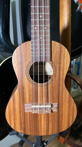 Ukulele Concert Shelby SU-23T STNT Acústico