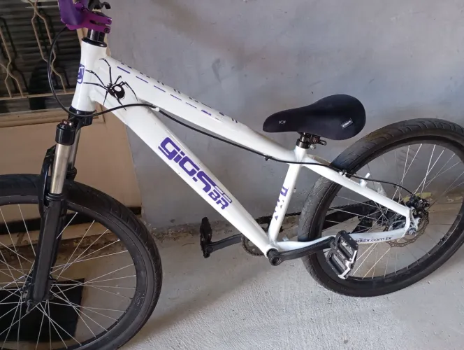 Quadro gios,somente o quadro,não aceito troca 