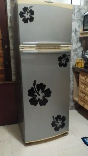 Vende-se Geladeira duplex