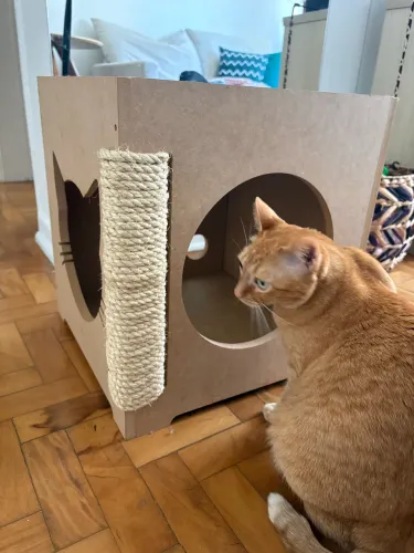 Arranhador de Gato