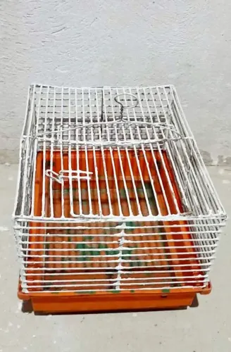 Gaiola 