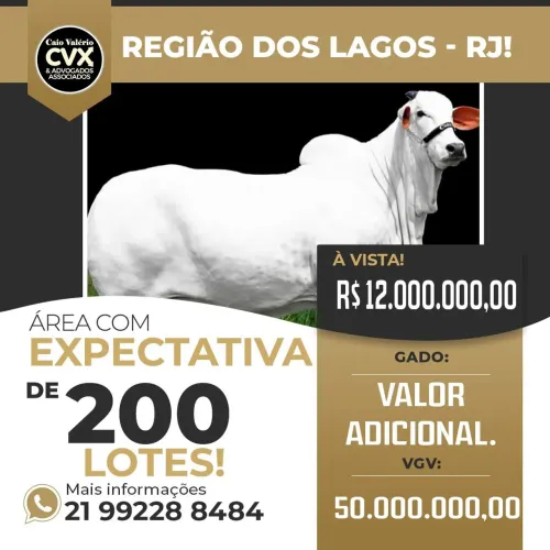 Área para Loteamento!
