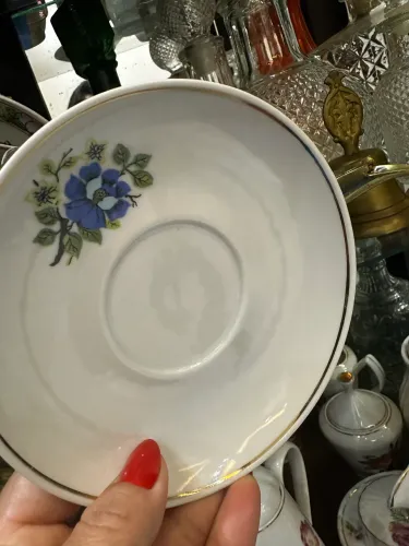 Conjunto bule e pires porcelana pozzani para completar a sua coleção