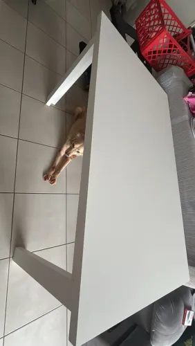 Mesa branca/ planejada 1 mês de uso