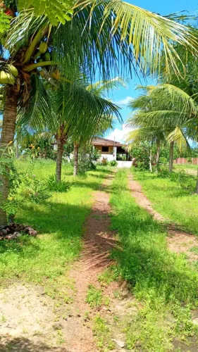 granja em Bom jesus com 1.2 hectares um luxo de granja