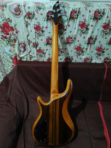 Contrabaixo 5 Cordas Customizado por Luthier (Visual Exclusivo) + Capa
