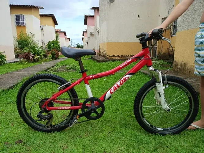 Bicicleta Caloi Wild XS aro 20